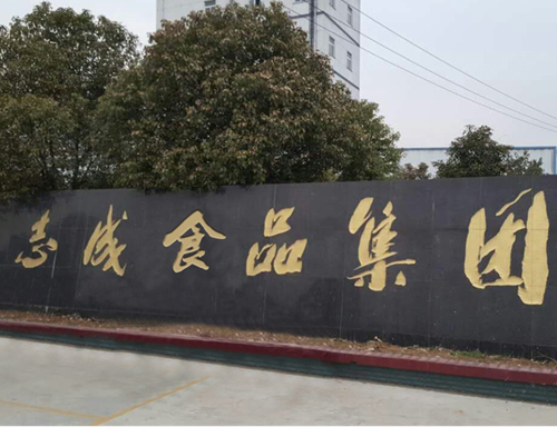 滁州市志成食品集团1吨饺子生产线